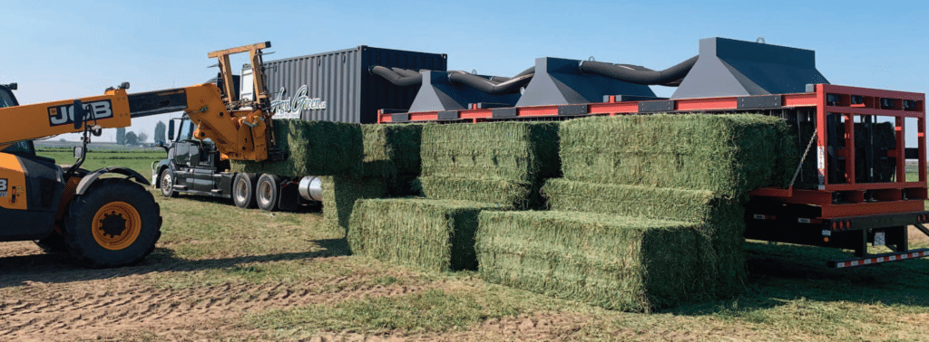 Compressed Hay bales for sale in the Middle East- export & import guide