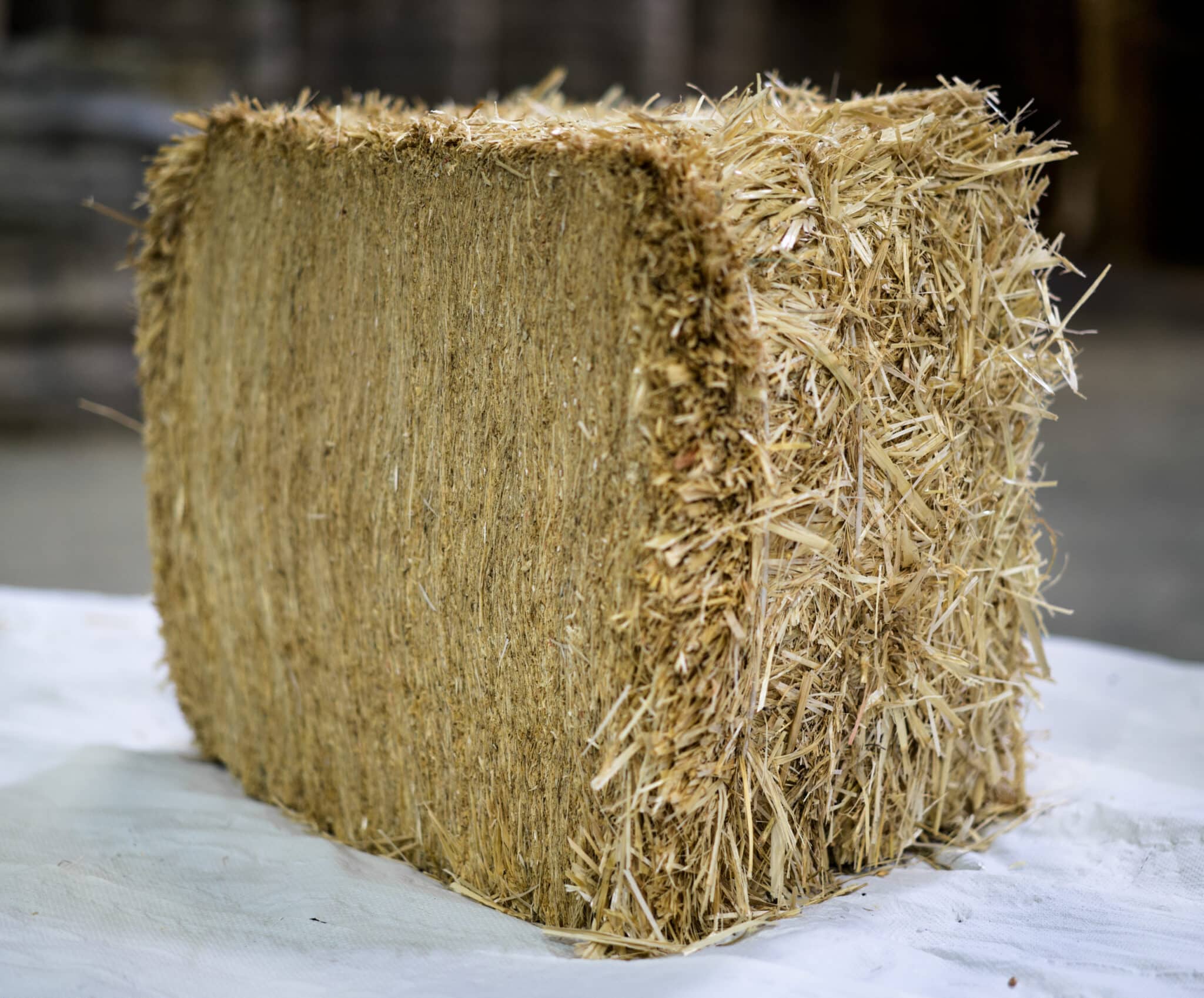 Compressed Wheat Straw Bales for sale in Bulk at wholesale prices