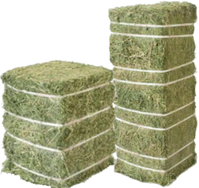 Double Compressed hay bales for sale packed