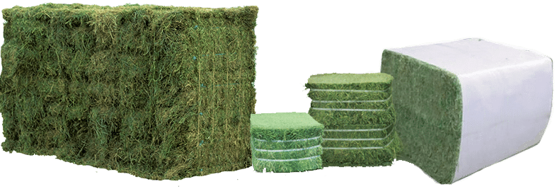 customize Compressed Hay bales for sale